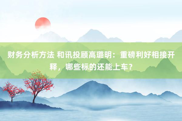 财务分析方法 和讯投顾高璐明：重磅利好相接开释，哪些标的还能上车？