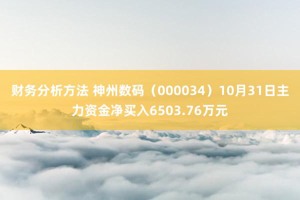 财务分析方法 神州数码（000034）10月31日主力资金净买入6503.76万元