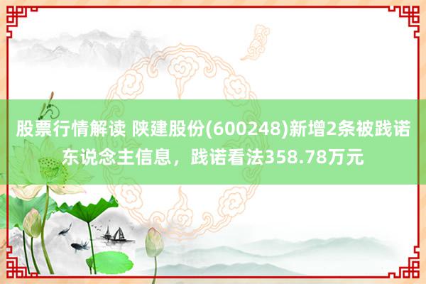 股票行情解读 陕建股份(600248)新增2条被践诺东说念主信息，践诺看法358.78万元