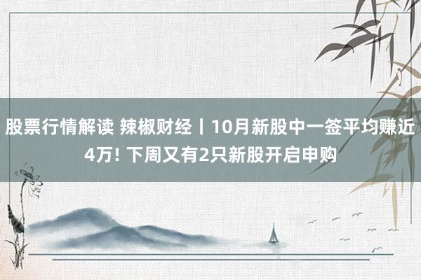 股票行情解读 辣椒财经丨10月新股中一签平均赚近4万! 下周又有2只新股开启申购