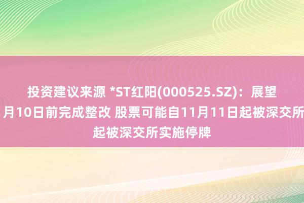 投资建议来源 *ST红阳(000525.SZ)：展望难以在11月10日前完成整改 股票可能自11月11日起被深交所实施停牌