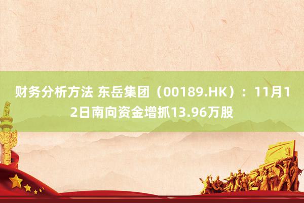 财务分析方法 东岳集团（00189.HK）：11月12日南向资金增抓13.96万股