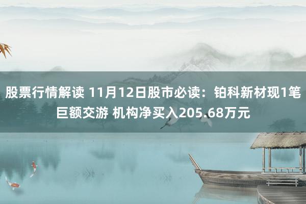 股票行情解读 11月12日股市必读：铂科新材现1笔巨额交游 机构净买入205.68万元