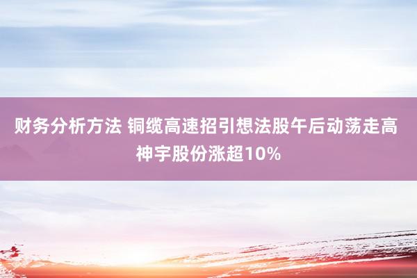 财务分析方法 铜缆高速招引想法股午后动荡走高 神宇股份涨超10%