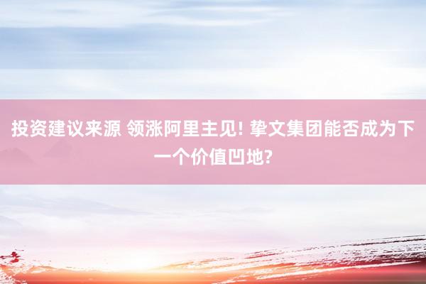 投资建议来源 领涨阿里主见! 挚文集团能否成为下一个价值凹地?