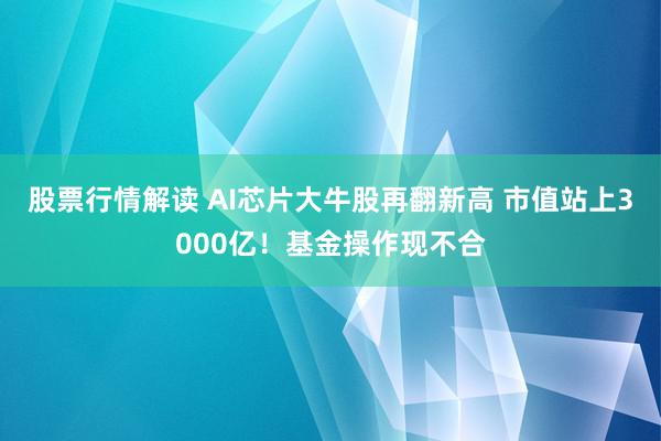 股票行情解读 AI芯片大牛股再翻新高 市值站上3000亿！基金操作现不合