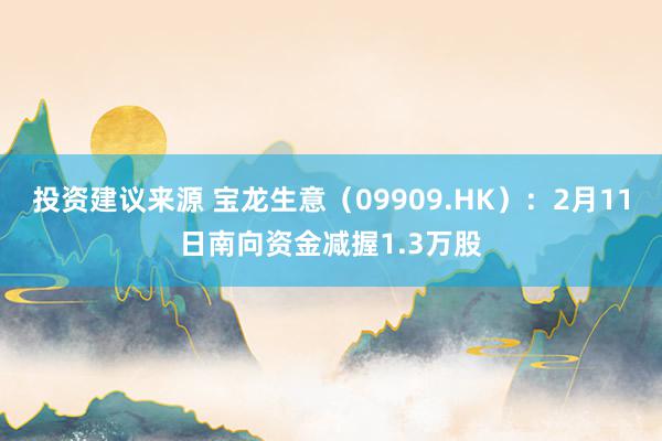 投资建议来源 宝龙生意（09909.HK）：2月11日南向资金减握1.3万股