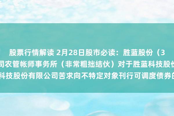 股票行情解读 2月28日股市必读：胜蓝股份（300843）新