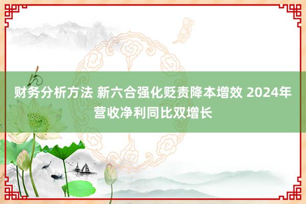 财务分析方法 新六合强化贬责降本增效 2024年营收净利同比