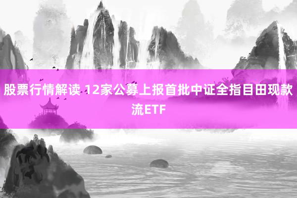 股票行情解读 12家公募上报首批中证全指目田现款流ETF